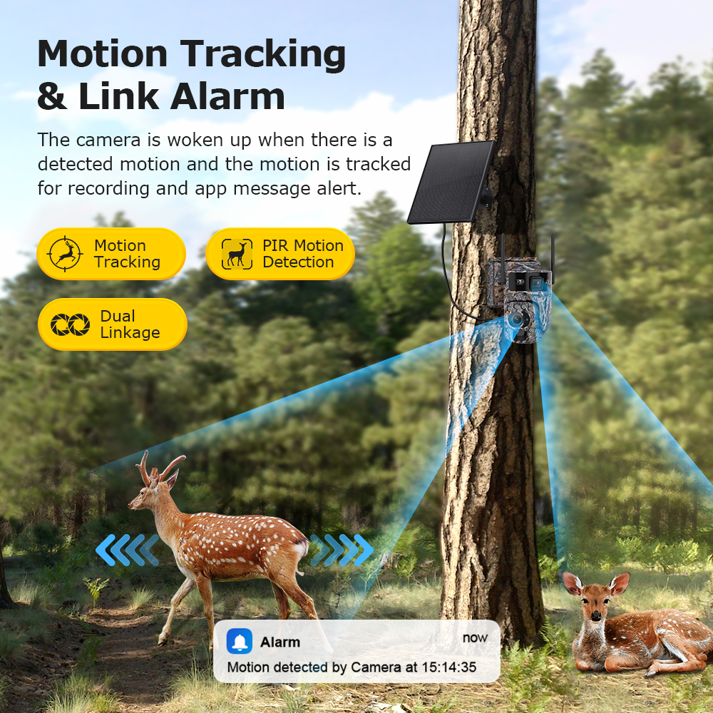 LS VISION 60X Zoom Trail Camer - Outdoor Sport Camera ulasan dan harga